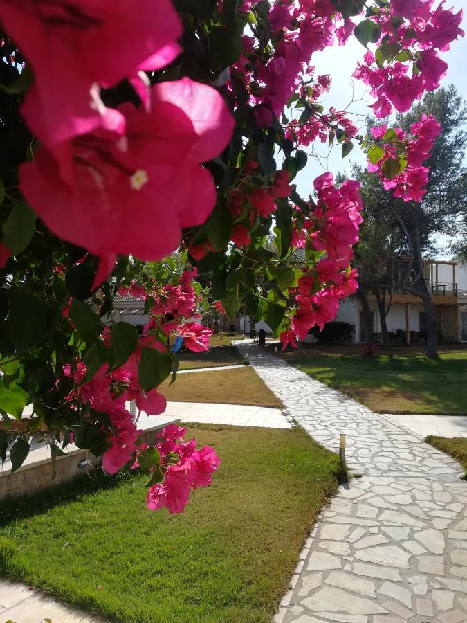 Hotel Marzi Beach&Bungalows Kokkónion Zewnętrze zdjęcie