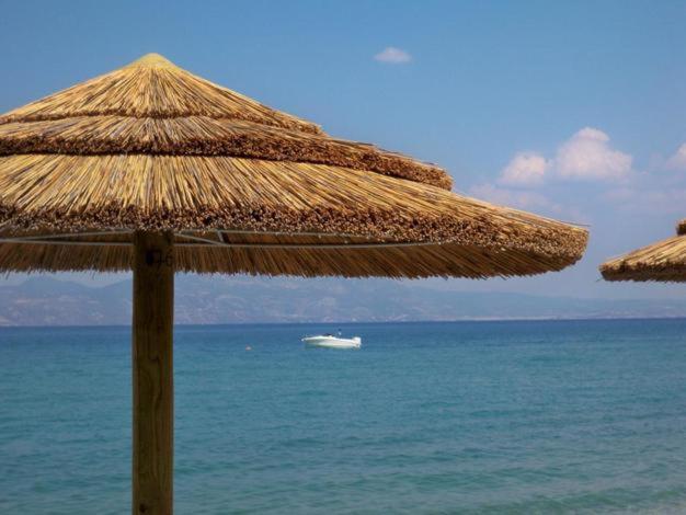 Hotel Marzi Beach&Bungalows Kokkónion Zewnętrze zdjęcie